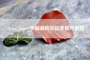 高唐中国消防学院录取分数线