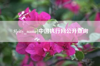 高唐中国执行网公开查询