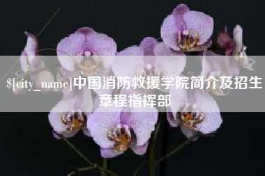 高唐中国消防救援学院简介及招生章程指挥部