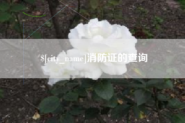 高唐消防证的查询