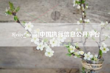 高唐中国执行信息公开平台