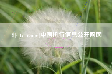 高唐中国执行信息公开网网
