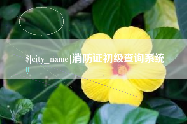 高唐消防证初级查询系统
