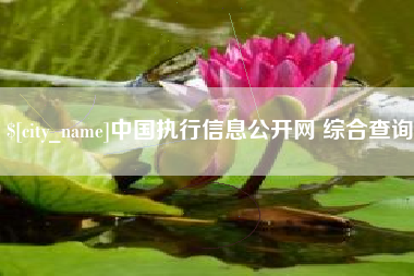 高唐中国执行信息公开网 综合查询