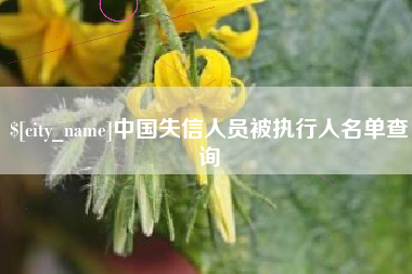 高唐中国失信人员被执行人名单查询