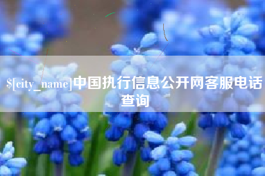高唐中国执行信息公开网客服电话查询