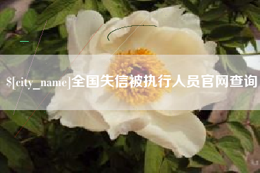 高唐全国失信被执行人员官网查询
