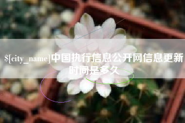 高唐中国执行信息公开网信息更新时间是多久