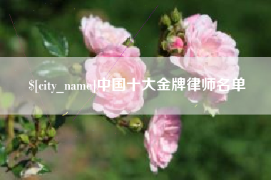 高唐中国十大金牌律师名单