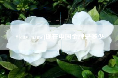 高唐现在中国金牌是多少