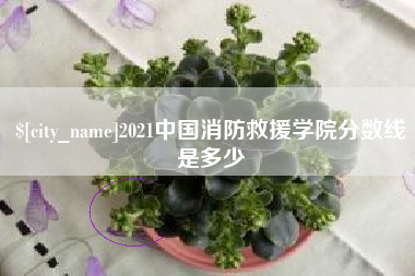 高唐2021中国消防救援学院分数线是多少