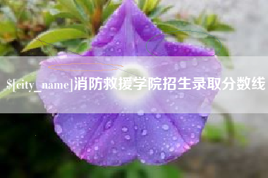 高唐消防救援学院招生录取分数线