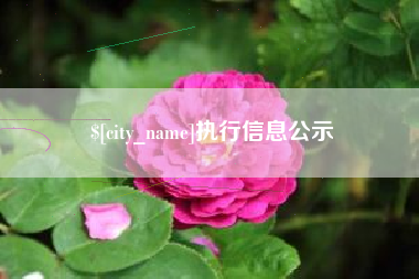 高唐执行信息公示