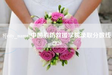 高唐中国消防救援学院录取分数线2020