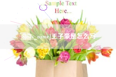 高唐王子豪是怎么写