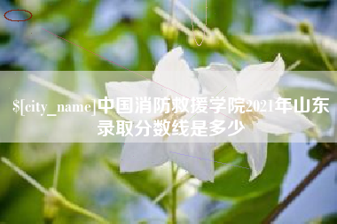 高唐中国消防救援学院2021年山东录取分数线是多少