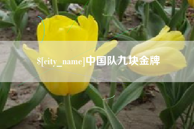 高唐中国队九块金牌