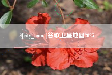 高唐谷歌卫星地图2025