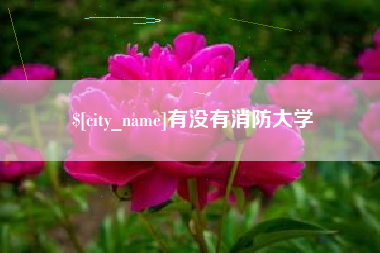 高唐有没有消防大学