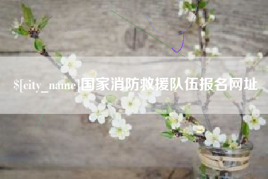 高唐国家消防救援队伍报名网址