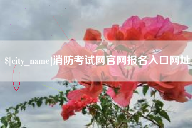 高唐消防考试网官网报名入口网址