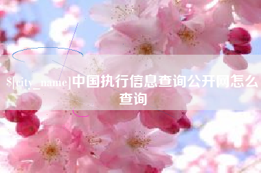 高唐中国执行信息查询公开网怎么查询