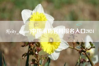 高唐中国消防官网报名入口2024