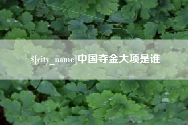 高唐中国夺金大项是谁