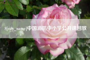高唐中国消防中小学公开课回放