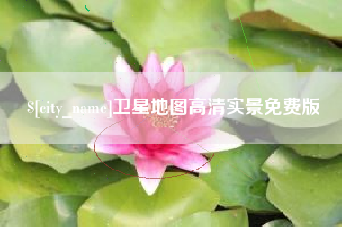 高唐卫星地图高清实景免费版