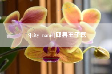 高唐邱县王子磊