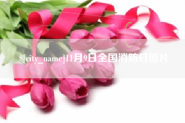 高唐11月9日全国消防日图片