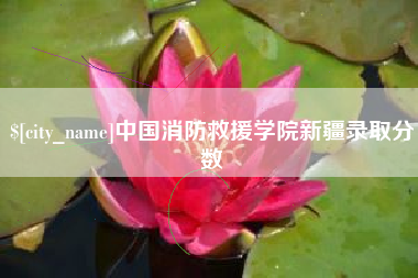 高唐中国消防救援学院新疆录取分数
