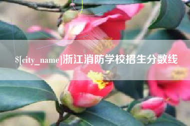 高唐浙江消防学校招生分数线