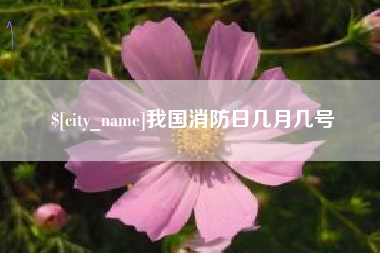 高唐我国消防日几月几号