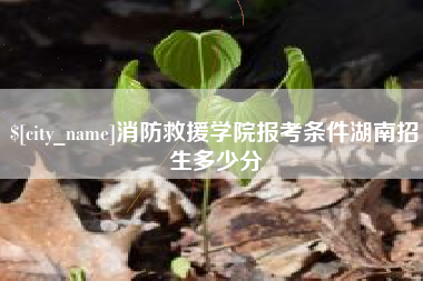 高唐消防救援学院报考条件湖南招生多少分