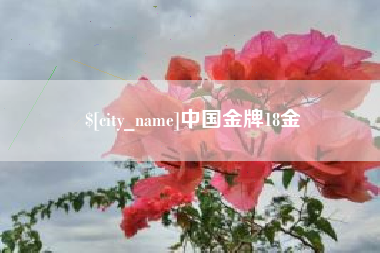 高唐中国金牌18金