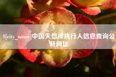 高唐中国失信被执行人信息查询公开网址
