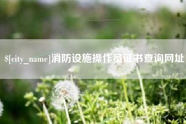 高唐消防设施操作员证书查询网址