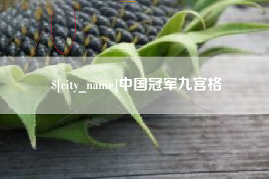 高唐中国冠军九宫格
