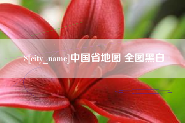 高唐中国省地图 全图黑白