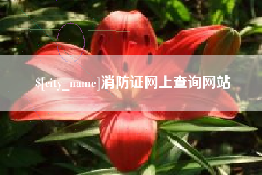 高唐消防证网上查询网站