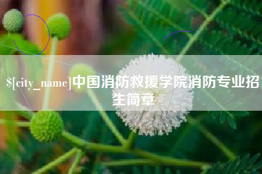 高唐中国消防救援学院消防专业招生简章