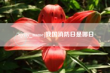 高唐我国消防日是哪日