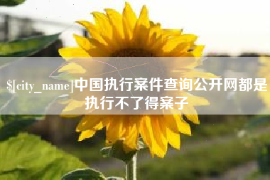 高唐中国执行案件查询公开网都是执行不了得案子