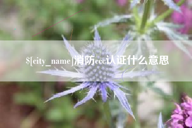 高唐消防ccc认证什么意思
