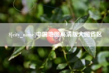 高唐中国地图高清版大图省区