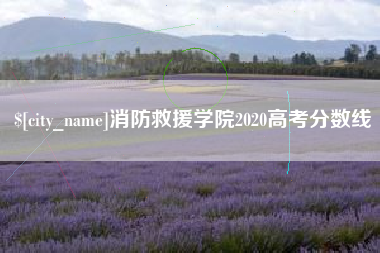 高唐消防救援学院2020高考分数线
