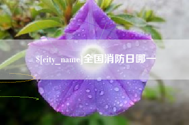高唐全国消防日哪一