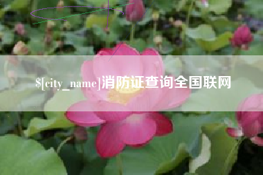 高唐消防证查询全国联网